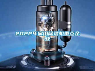 常见问题2022年家用除湿机重点企业