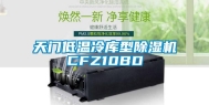 天门低温冷库型除湿机CFZ10BD
