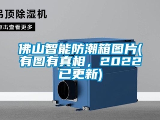 常见问题佛山智能防潮箱图片(有图有真相，2022已更新)