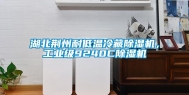 湖北荆州耐低温冷藏除湿机，工业级9240C除湿机