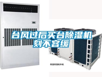 知识百科台风过后买台除湿机刻不容缓
