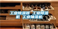 工业除湿器 工业除湿机 工业抽湿机