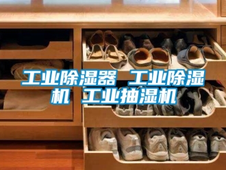 常见问题工业除湿器 工业除湿机 工业抽湿机