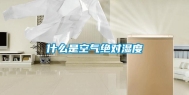 什么是空气绝对湿度