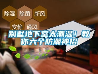 企业新闻别墅地下室太潮湿！教你六个防潮神招