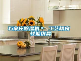 行业新闻石家庄除湿机＊ 工艺精良 性能优异