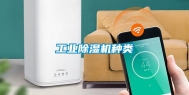 工业除湿机种类