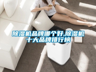企业新闻除湿机品牌哪个好,除湿机十大品牌排行榜
