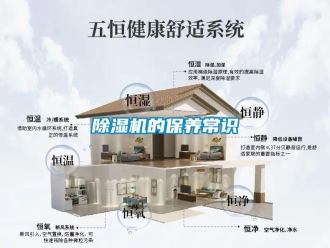 企业新闻除湿机的保养常识