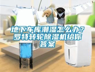 常见问题地下车库潮湿怎么办？罗特转轮除湿机给你答案