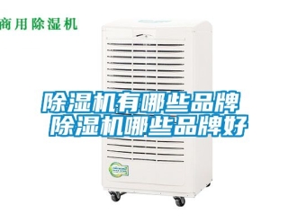 企业新闻除湿机有哪些品牌 除湿机哪些品牌好