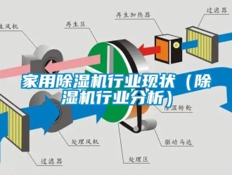 常见问题家用除湿机行业现状（除湿机行业分析）