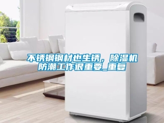 企业新闻不锈钢钢材也生锈，除湿机防潮工作很重要_重复