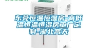 东莞恒温恒湿房-高低温恒温恒湿房工厂定制-湖北高天