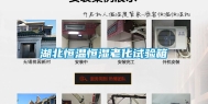 湖北恒温恒湿老化试验箱