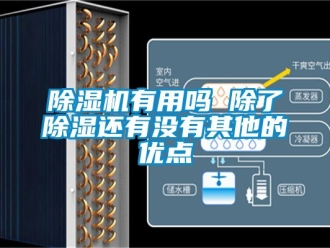 行业新闻除湿机有用吗 除了除湿还有没有其他的优点