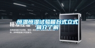 恒温恒湿试验箱台式立式简介了解