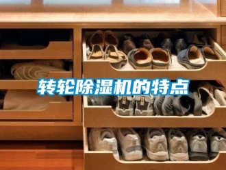 常见问题转轮除湿机的特点