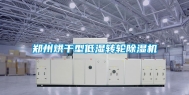 郑州烘干型低湿转轮除湿机