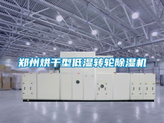 常见问题郑州烘干型低湿转轮除湿机
