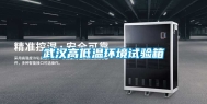 武汉高低温环境试验箱