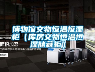 知识百科博物馆文物恒温恒湿柜（库房文物恒温恒湿储藏柜）