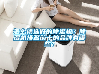 企业新闻怎么挑选好的除湿机？除湿机排名前十的品牌有哪些？