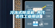 冷冻式除湿机 具代表性工业用途