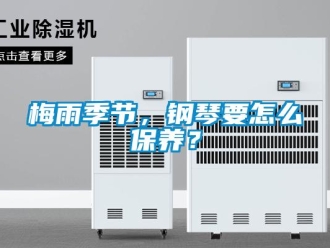 常见问题梅雨季节，钢琴要怎么保养？