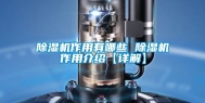 除湿机作用有哪些 除湿机作用介绍【详解】