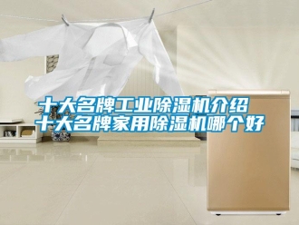 常见问题十大名牌工业除湿机介绍 十大名牌家用除湿机哪个好