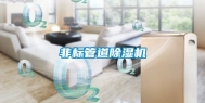 非标管道除湿机