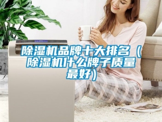企业新闻除湿机品牌十大排名（除湿机什么牌子质量最好）