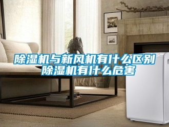 常见问题除湿机与新风机有什么区别 除湿机有什么危害