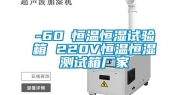 -60℃恒温恒湿试验箱 220V恒温恒湿测试箱厂家