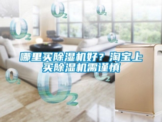 行业新闻哪里买除湿机好？淘宝上买除湿机需谨慎