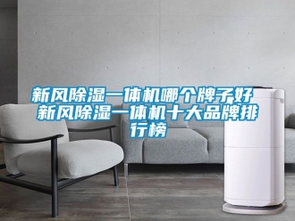 常见问题新风除湿一体机哪个牌子好 新风除湿一体机十大品牌排行榜