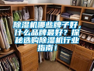企业新闻除湿机哪些牌子好，什么品牌最好？探秘选购除湿机行业指南！