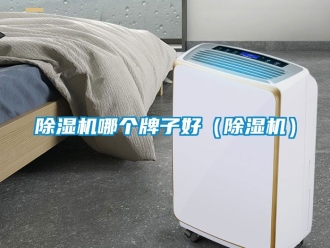 行业新闻除湿机哪个牌子好（除湿机）