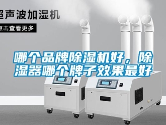 企业新闻哪个品牌除湿机好，除湿器哪个牌子效果最好