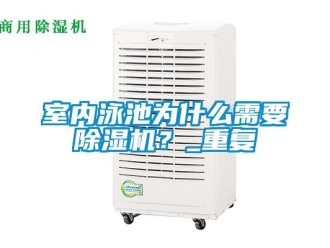 行业新闻室内泳池为什么需要除湿机？_重复