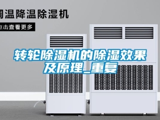 常见问题转轮除湿机的除湿效果及原理_重复