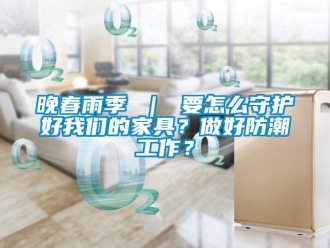 常见问题晚春雨季 ｜ 要怎么守护好我们的家具？做好防潮工作？