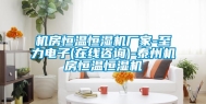机房恒温恒湿机厂家-至力电子(在线咨询)-泰州机房恒温恒湿机