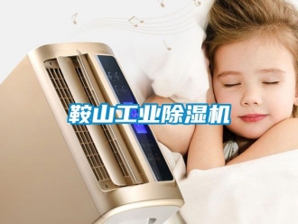 常见问题鞍山工业除湿机