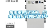 梅雨季即将到来，实木家具应该如何是好？