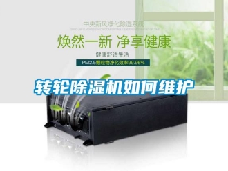 常见问题转轮除湿机如何维护