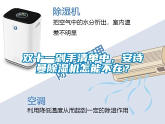 企业新闻双十一剁手清单中，安诗曼除湿机怎能不在？