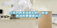 只选对的不选低价的，除湿机选购要量体裁衣