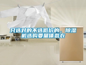 知识百科只选对的不选低价的，除湿机选购要量体裁衣